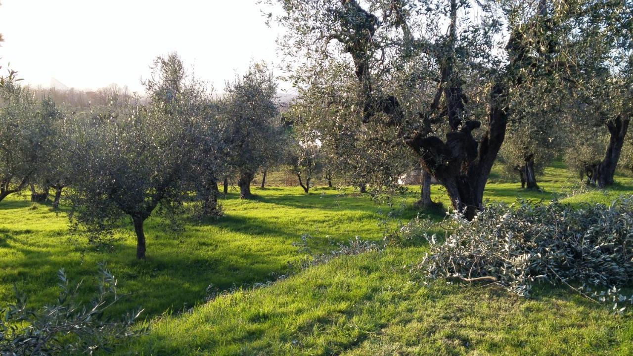 Casa "Il Brio" Villa Pistoia Dış mekan fotoğraf
